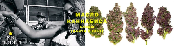 гидропоника Алзамай